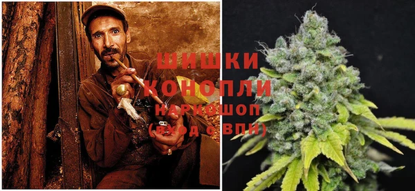 бошки Покачи