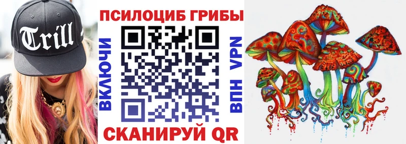 как найти наркотики  Сибай  Псилоцибиновые грибы Cubensis 