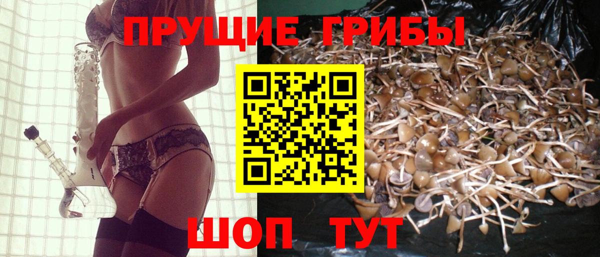 Галлюциногенные грибы Magic Shrooms Сибай