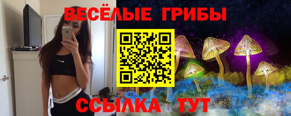 Псилоцибиновые грибы Psilocybe  Сибай 