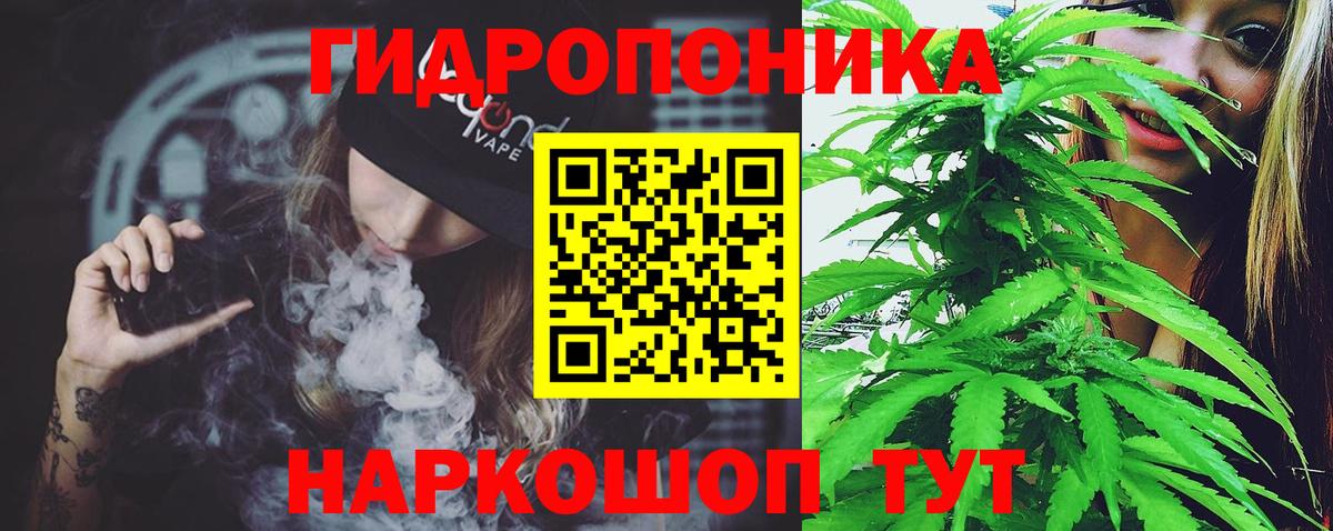 Бошки Шишки ГИДРОПОН  Каннабис OG Kush  Марихуана Bruce Banner  Вход с VPN  Сибай 